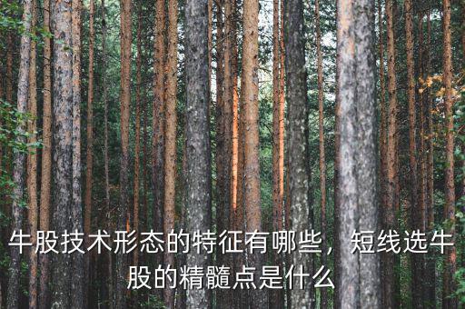 牛股技術(shù)形態(tài)的特征有哪些，短線選牛股的精髓點是什么