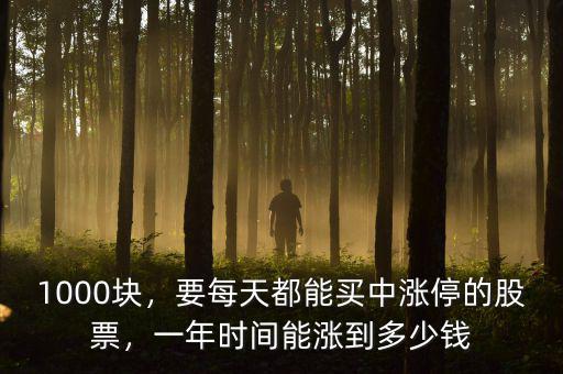 1000塊，要每天都能買中漲停的股票，一年時間能漲到多少錢