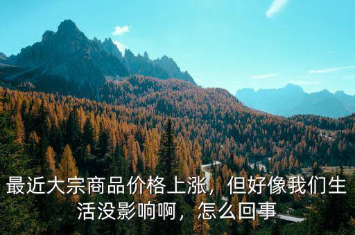 最近大宗商品價格上漲，但好像我們生活沒影響啊，怎么回事
