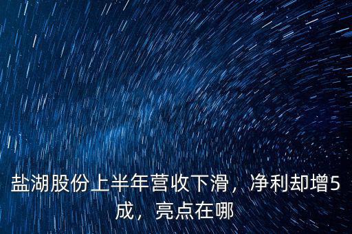 鹽湖股份上半年?duì)I收下滑，凈利卻增5成，亮點(diǎn)在哪
