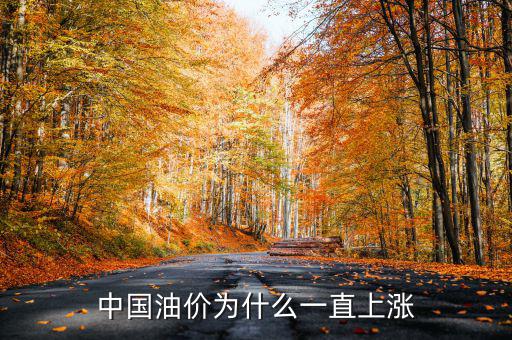 中國油價(jià)為什么一直上漲