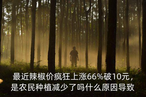 最近辣椒價瘋狂上漲66%破10元，是農(nóng)民種植減少了嗎什么原因?qū)е? class=