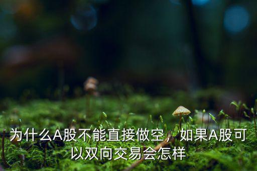 為什么A股不能直接做空，如果A股可以雙向交易會怎樣