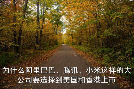為什么阿里巴巴、騰訊、小米這樣的大公司要選擇到美國(guó)和香港上市