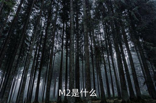 什么是m2指數,經濟增長指數