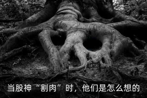 當股神“割肉”時，他們是怎么想的