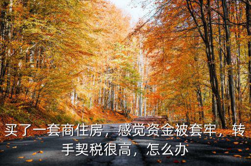 買了一套商住房，感覺資金被套牢，轉(zhuǎn)手契稅很高，怎么辦