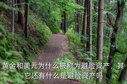 黃金和美元為什么被稱(chēng)為避險(xiǎn)資產(chǎn)，其它還有什么是避險(xiǎn)資產(chǎn)嗎