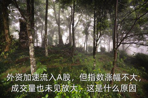 為什么指數(shù)不漲成交量大,A股市場為什么不漲