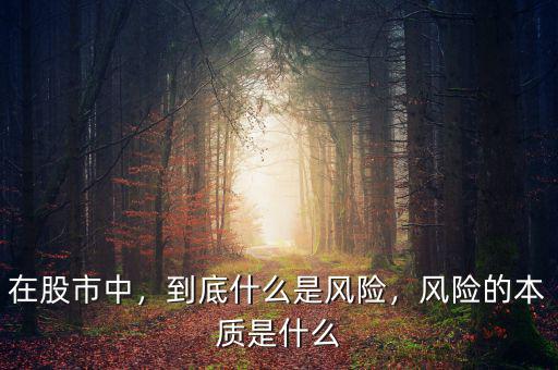 在股市中，到底什么是風(fēng)險(xiǎn)，風(fēng)險(xiǎn)的本質(zhì)是什么