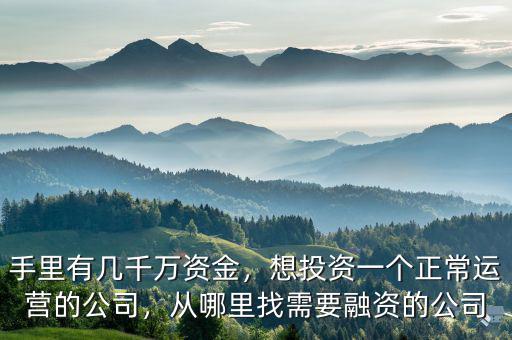 手里有幾千萬資金，想投資一個正常運營的公司，從哪里找需要融資的公司
