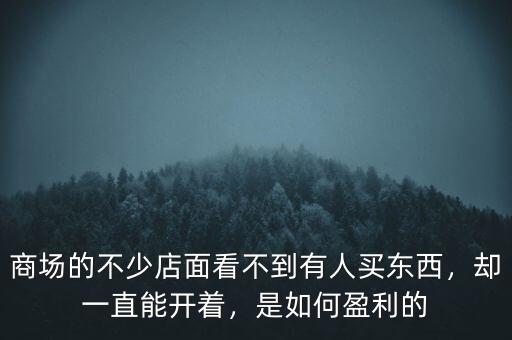 商場的不少店面看不到有人買東西，卻一直能開著，是如何盈利的