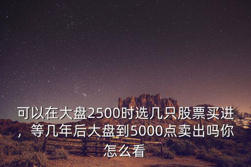 可以在大盤2500時(shí)選幾只股票買進(jìn)，等幾年后大盤到5000點(diǎn)賣出嗎你怎么看