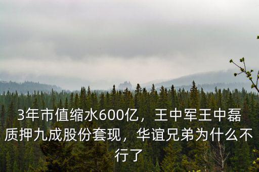 3年市值縮水600億，王中軍王中磊質(zhì)押九成股份套現(xiàn)，華誼兄弟為什么不行了