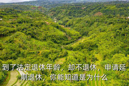 到了法定退休年齡，卻不退休，申請延期退休，你能知道是為什么