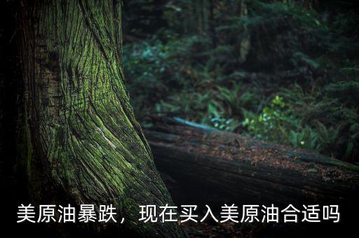 美原油暴跌，現(xiàn)在買入美原油合適嗎