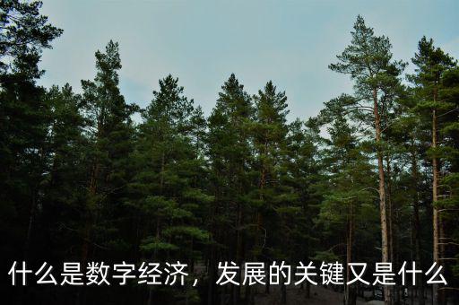 什么是數(shù)字經(jīng)濟，發(fā)展的關(guān)鍵又是什么