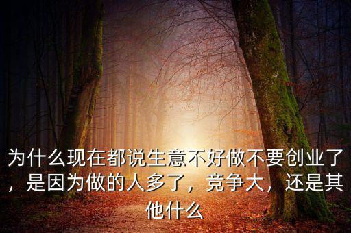 為什么現(xiàn)在都說生意不好做不要?jiǎng)?chuàng)業(yè)了，是因?yàn)樽龅娜硕嗔?，競爭大，還是其他什么