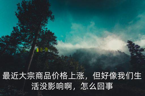 最近大宗商品價格上漲，但好像我們生活沒影響啊，怎么回事