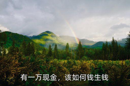 一萬(wàn)元怎么錢(qián)生錢(qián)呢,手上有一萬(wàn)塊錢(qián)