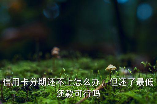 信用卡分期還不上怎么辦，但還了最低還款可行嗎