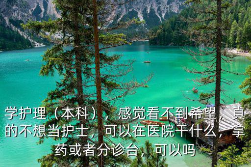 學(xué)護(hù)理（本科），感覺看不到希望，真的不想當(dāng)護(hù)士，可以在醫(yī)院干什么，拿藥或者分診臺，可以嗎