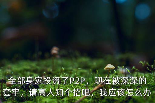 全部身家投資了P2P，現(xiàn)在被深深的套牢，請高人知個(gè)招吧，我應(yīng)該怎么辦