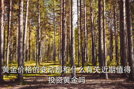 什么決定黃金價格,什么可以決定黃金的價格呢