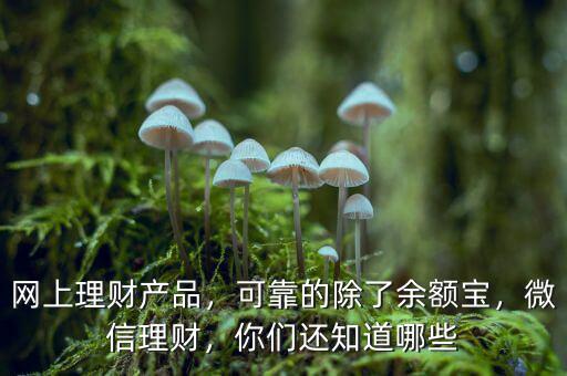 網(wǎng)上理財(cái)產(chǎn)品有什么,網(wǎng)上理財(cái)產(chǎn)品