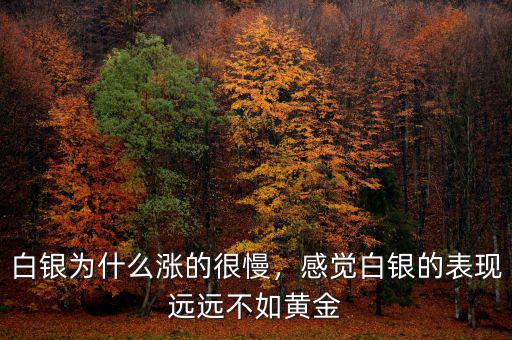 白銀為什么漲的很慢，感覺白銀的表現(xiàn)遠(yuǎn)遠(yuǎn)不如黃金