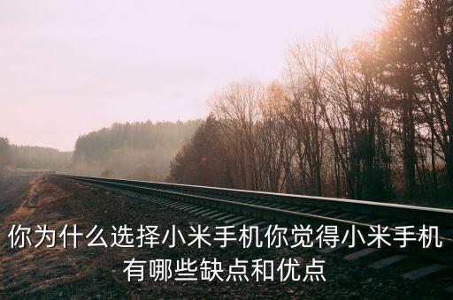 為什么是小米第一手機(jī),小米手機(jī)是性?xún)r(jià)比之王
