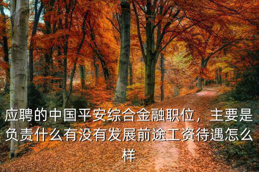 應(yīng)聘的中國平安綜合金融職位，主要是負責(zé)什么有沒有發(fā)展前途工資待遇怎么樣