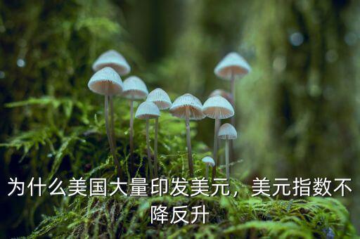 為什么美國(guó)大量印發(fā)美元，美元指數(shù)不降反升