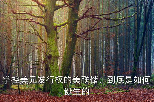 掌控美元發(fā)行權(quán)的美聯(lián)儲(chǔ)，到底是如何誕生的