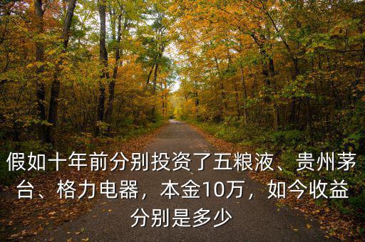 假如十年前分別投資了五糧液、貴州茅臺(tái)、格力電器，本金10萬，如今收益分別是多少