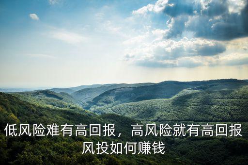 低風險難有高回報，高風險就有高回報風投如何賺錢