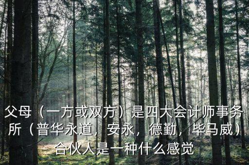 父母（一方或雙方）是四大會(huì)計(jì)師事務(wù)所（普華永道，安永，德勤，畢馬威）合伙人是一種什么感覺