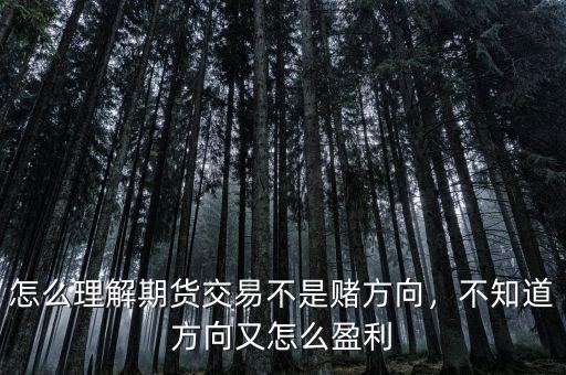 怎么理解期貨交易不是賭方向，不知道方向又怎么盈利