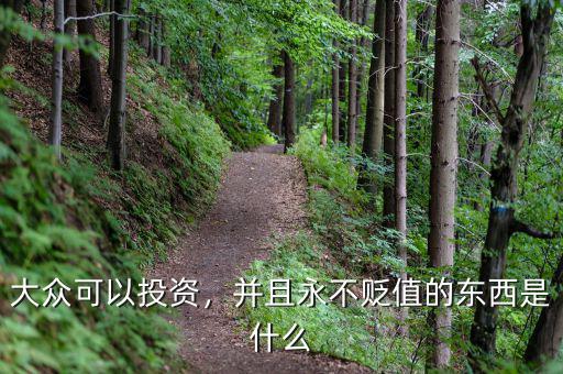 大眾可以投資，并且永不貶值的東西是什么