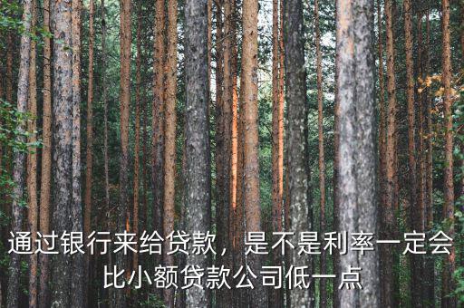 銀行的小額貸款營(yíng)銷(xiāo)成本為什么高,小額信貸利息為什么那么高