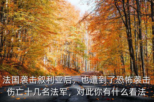 法國為什么會來恐怖襲擊,瓜達(dá)爾港遭遇恐怖襲擊