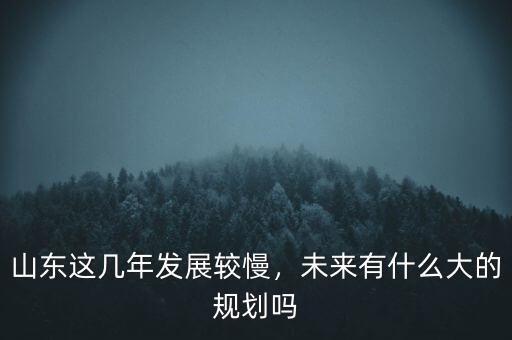 山東這幾年發(fā)展較慢，未來有什么大的規(guī)劃嗎