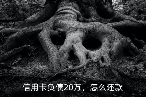 信用卡負(fù)債20萬，怎么還款