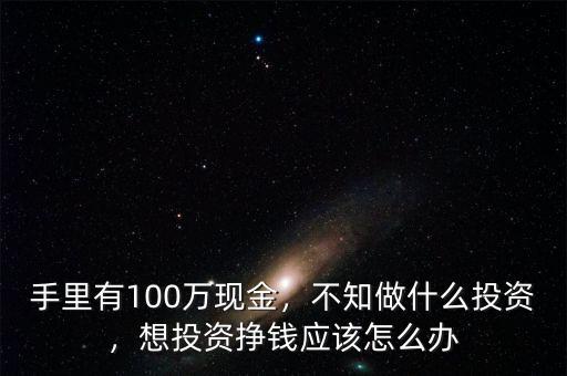 手里有100萬現(xiàn)金，不知做什么投資，想投資掙錢應(yīng)該怎么辦