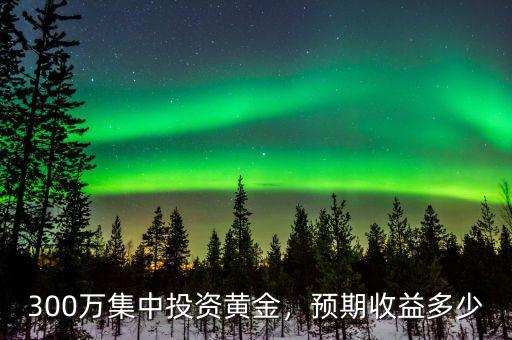 300萬(wàn)集中投資黃金，預(yù)期收益多少