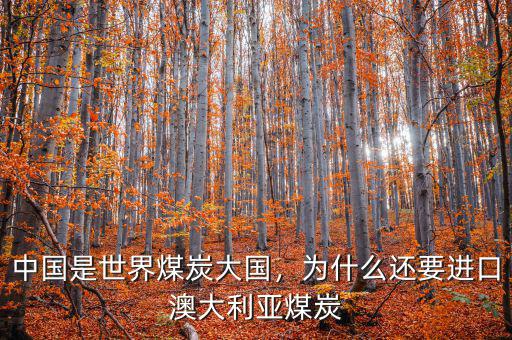 中國是世界煤炭大國，為什么還要進口澳大利亞煤炭