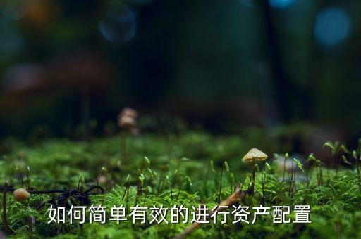 如何簡(jiǎn)單有效的進(jìn)行資產(chǎn)配置