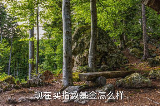 001728基金怎么樣,現(xiàn)在買(mǎi)指數(shù)基金怎么樣