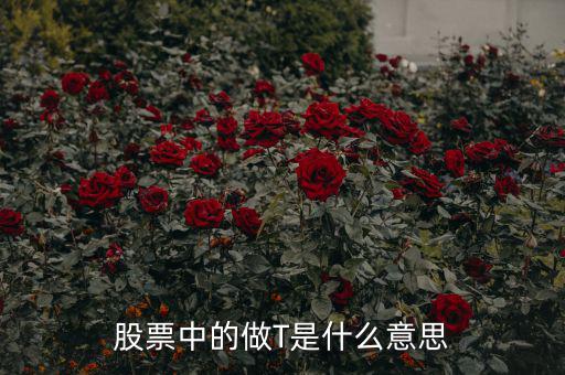 股市里做t是什么意思,做T是什么意思