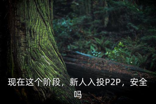 現(xiàn)在這個(gè)階段，新人入投P2P，安全嗎